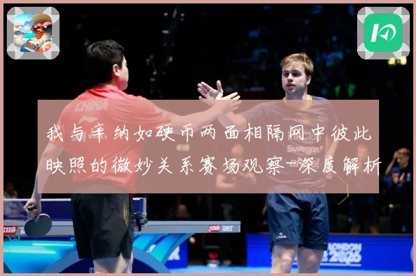 我与辛纳如硬币两面相隔网中彼此映照的微妙关系赛场观察-深度解析
