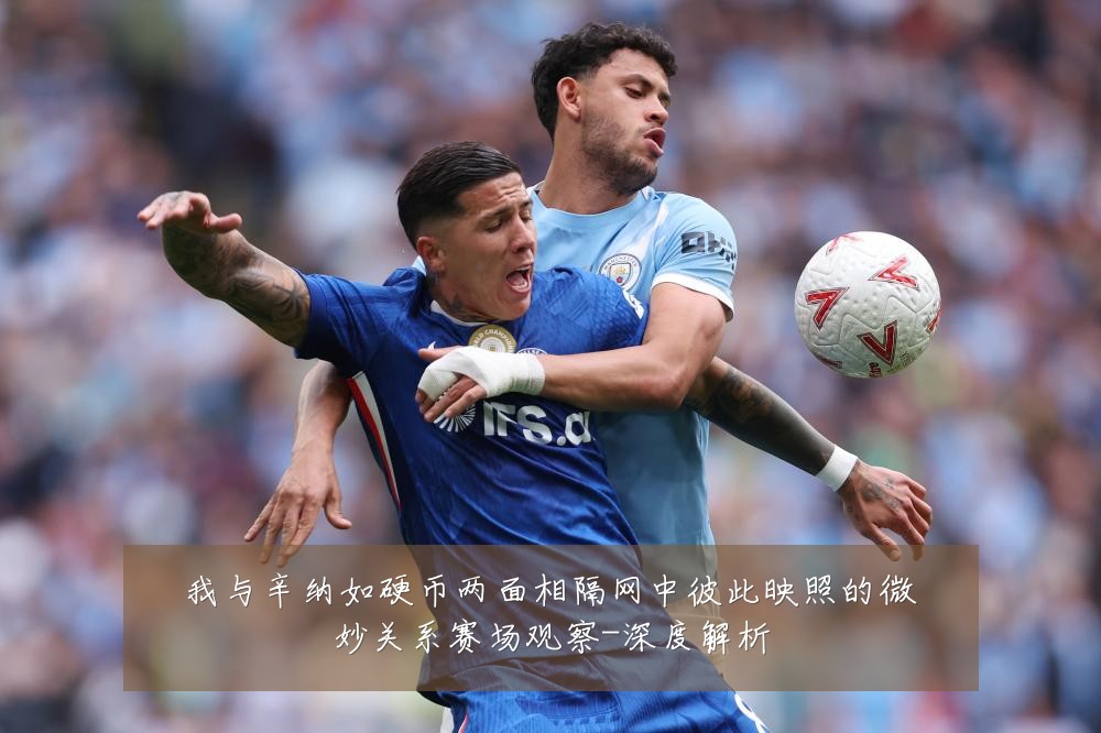 我与辛纳如硬币两面相隔网中彼此映照的微妙关系赛场观察-深度解析
