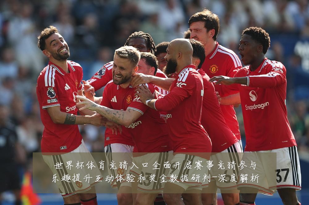 世界杯体育竞猜入口全面开启赛事竞猜参与乐趣提升互动体验和奖金数据研判-深度解析