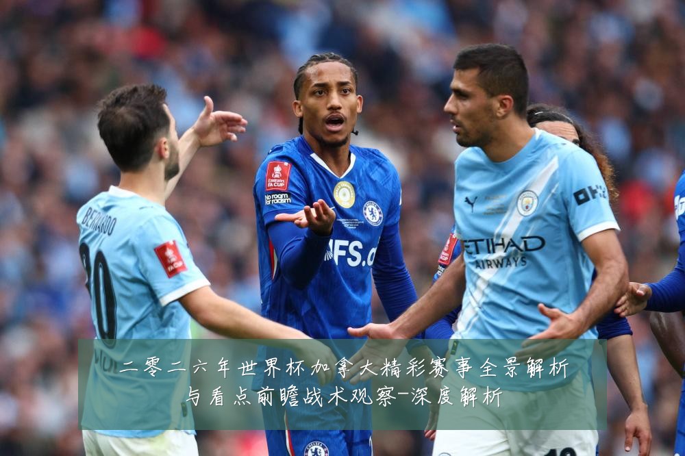 二零二六年世界杯加拿大精彩赛事全景解析与看点前瞻战术观察-深度解析